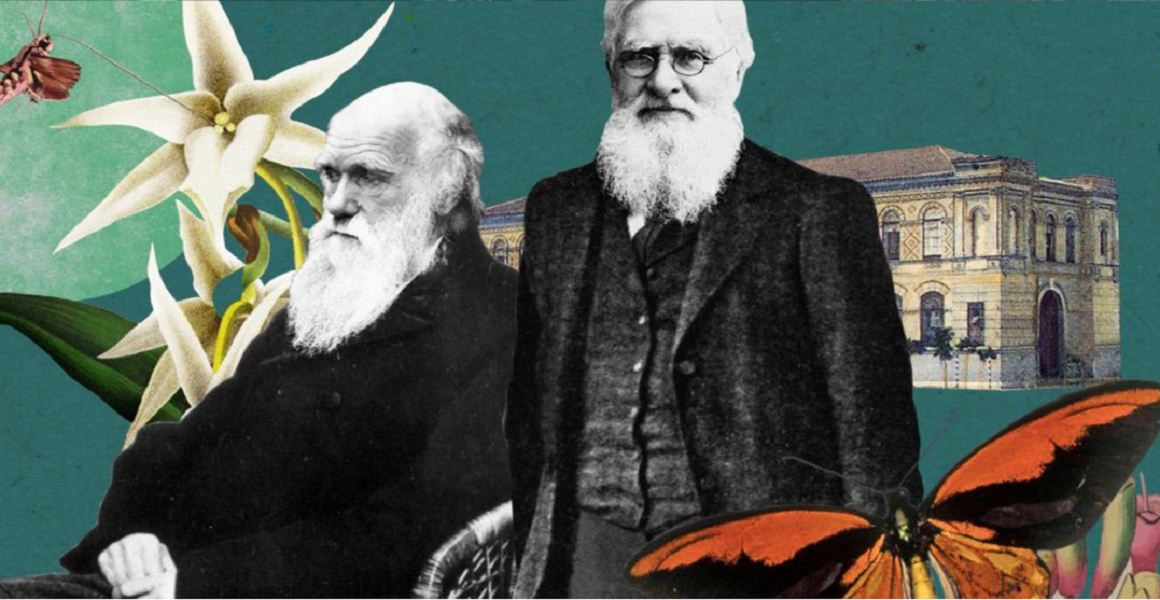 ¿Has bailado alguna vez en un museo?