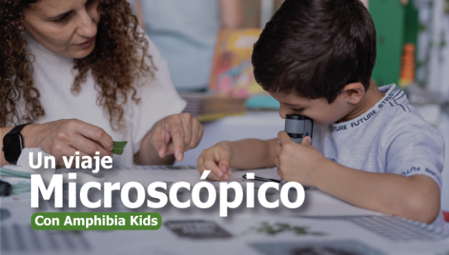 Taller un viaje Microscópico